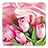 Pink Roses Live Wallpaper icon