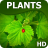 Plants wallpapers icon