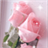 Pretty Pink Roses Live Wallpaper icon