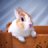 Rabbit HD LWP Lite icon
