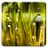 Rain n Grass Wallpaper App icon