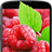 Raspberries Live Wallpaper icon