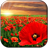 Red Poppy Live Wallpaper icon