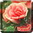 Rose Drops Live Wallpaper icon