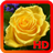 Roses Wallpapers HD 1.2