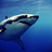 Shark LW icon