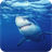 Shark Wallpaper icon