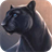 Sighing panther icon
