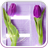 Purple Tulips Live Wallpaper icon