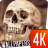 Skull wallpapers 4k icon