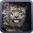 Snow Leopard Wallpaper icon