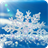 Winter Snow icon