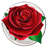 Special Rose Live Wallpaper icon