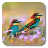 Spring Birds icon