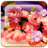 Spring Flowers HD LWP icon