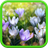 Spring Landscapes Live Wallpaper APK Download