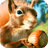 Squirrel with Acorn Live Wallp icon