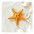 Starfish Live Wallpaper icon