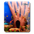 Summer Aquarim Free HD LWP icon