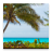 Beach Palms icon