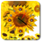 Descargar Sunflower Clock Live Wallpaper