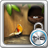Tia Lock Theme Bird icon
