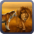 Tiger versus Lion Wallpaper icon