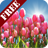 Tulip Field FREE icon