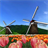 Tulip Fields 360°Trial icon
