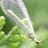Eco Pest Management Pte Ltd icon