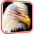 USA Eagle Live Wallpaper icon