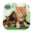 Wallpapers Cats icon