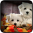 White Dogs Wallpapers icon
