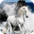 White Horse APK Download
