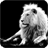Descargar White Lion Live Wallpaper