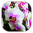 Orchid icon