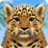 Wild Animals: Leopard Lite APK Download