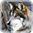 Wild Wolves Live Wallpaper icon