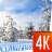 Winter wallpapers 4k icon