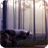 Wolf Pack 4 Live Wallpaper icon