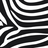 Zebra Print Wallpapers 1.0