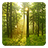 Woods Live Wallpaper icon