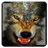 Wolf n Snowfall Live Wallpaper icon