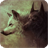 Wolf Pack 2 Live Wallpaper icon