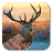 Xmas Deer icon