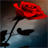 Abstract Red Rose LWP icon