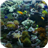 Aquarium Video Wallpaper 2.0
