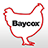Baycox12 icon