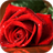 Rose icon