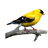 Bird Sounds,Calls And Ringtones icon
